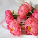 ミニコラム：結婚したくないって本当？