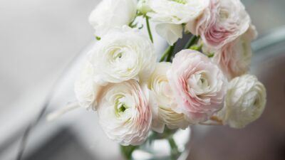 ミニコラム：理想のパートナーとの出会いは、自分と向き合うことから
