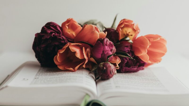 ミニコラム：結婚相談所でも結婚できない人に共通する6つの特徴